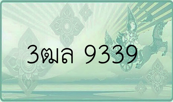 3ฒล 9339